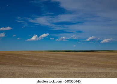 Amber Waves Of Grain