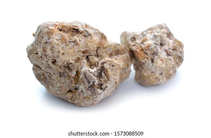 Ambergris, ambre gris, ambergrease or grey amber. Isolated on white background. - Shutterstock ID 1573088509