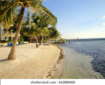 Ambergris Caye Beach