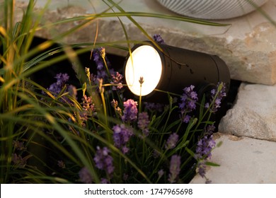 Ambient Lighting On Terrace And Garden With Rgb Spots