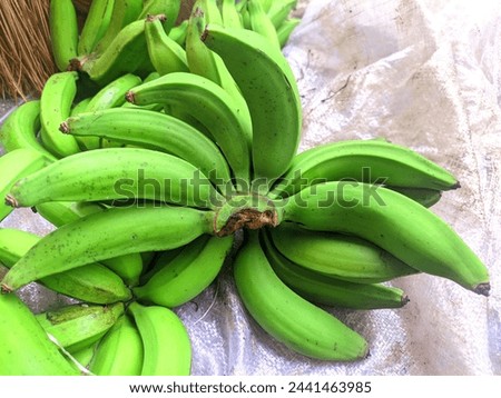 Ambon bananas that are still unripe are green with a sack background