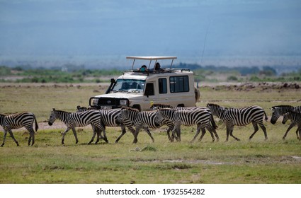 AMBOSELI, KENYA - January 2021:  Herd Of African Zebras And Safari Jeep In Amboseli National Park, Kenya