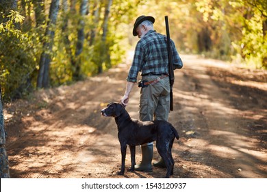 ambush for ducks with dog in autumn forest. Hunter man's back with dog going to hunt