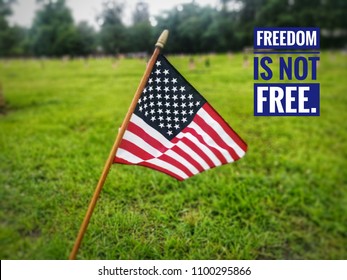 Ameican Flag On Green Grass, Jacksonville, NC; Freedom Is Not Free. Memorial Day 