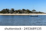 Amelia River Boat Tour in Amelia Island Florida