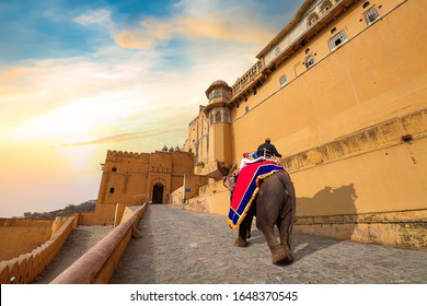 Amer Fort At Jaipur Rajasthan With View Of Elephant Used For Tourist Ride. Amber Fort Is A UNESCO World Heritage Site