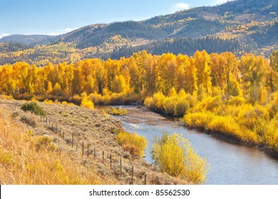 1,525 American aspen tree Images, Stock Photos & Vectors | Shutterstock