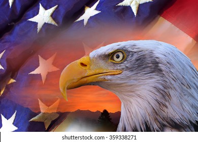 American Bald Eagle And Flag