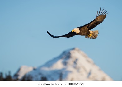 Eagle Mountain Images Stock Photos Vectors Shutterstock