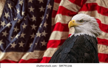 American Bald Eagle - symbol of america -with flag. United States of America patriotic symbols.