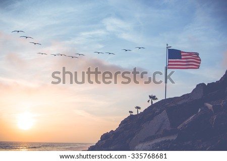 American Birds