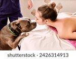An American bully dog came into massage parlor while young woman was having massage.