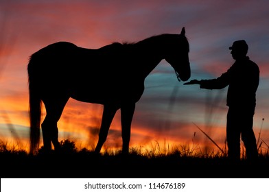 American Civil War Soldier With His Horse