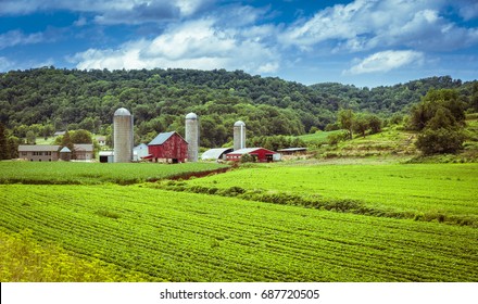 American Old Country Farm Barn Silo Stock Photo (Edit Now) 116122381