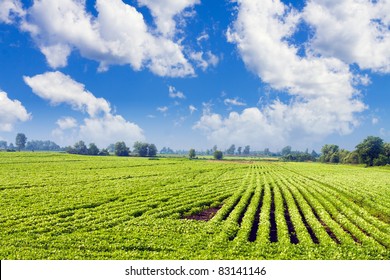 American Country Landscape