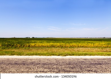 American Country Road Side View