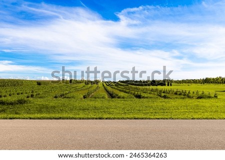 American Country Road Side View 