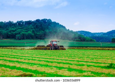 American Farm With Tractor