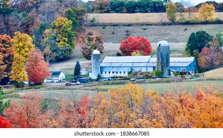 American farm with traditional farmhouse, grain bins and buildings in rural area of New York, surrounded by colorful foliage trees. Autumn scene in October  - Powered by Shutterstock