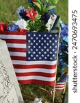 American Flag Alone in a Cemetery