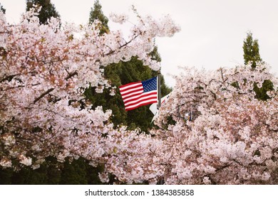 American Flag Between Cherry Blossom Trees Stock Photo 1384385858 ...