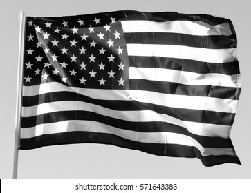 American Flag (black And White)