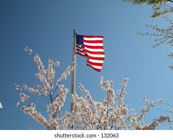 The American Flag In Chapel Hill, North Carolina