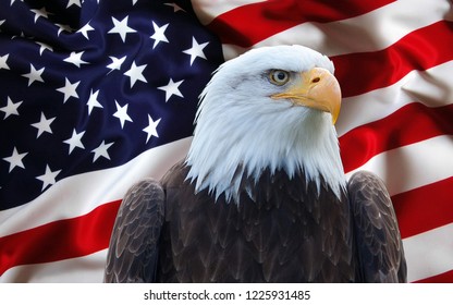 The american flag with eagle 