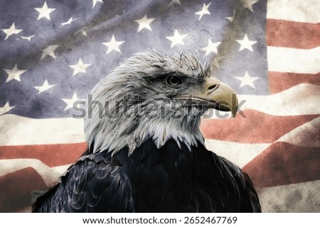 american flag with eagle bird
