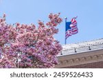 The American flag flies over Hamilton Hall as flowers bloom across the Coast Guard Academy campus in New London, CT, April 15, 2024.