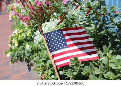 American Flag And Flowers In July