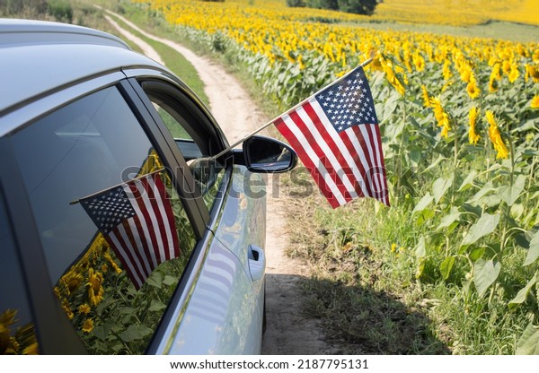 American flag in hand is stuck out of car\
window. Reflection of flag and blooming field of sunflowers in\
window. vacation, travel. Independence Day of United States of\
America. Pride,\
Patriotism