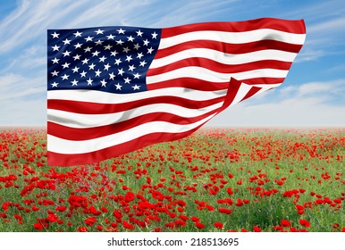 american flag on poppy fields
