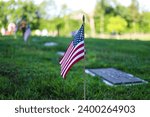 American Flag stuck in ground at cemetary