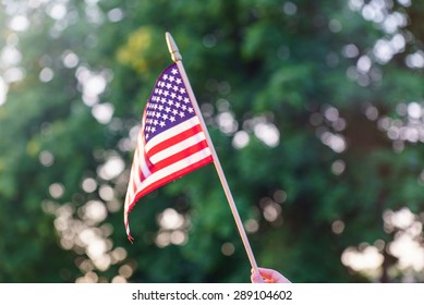 american flags