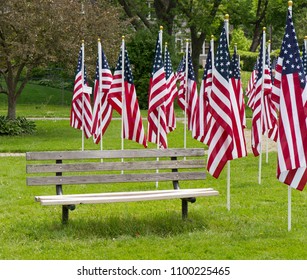 American flags behind an empty bench.