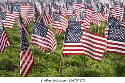 American flags displaying on Memorial Day