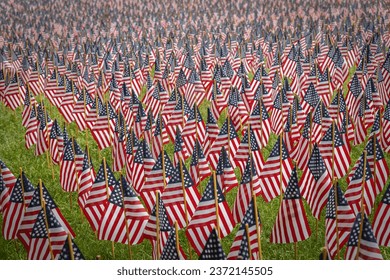 An American Flags at a memorial day event for fallen military service personnel - Shutterstock ID 2372145505