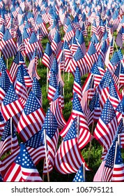 American flags on display for Memorial Day or July 4th - hundreds of flags cover a green field.  Vertical