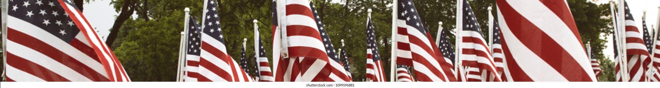 American Flags On Memorial Day In Haymarket, Virginia.