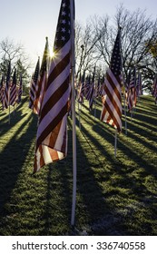 American flags with sun flare and long shadows early on an autumn morning three days before the Veterans Day federal holiday
