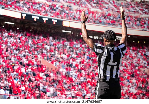 American Football Referee official signals a\
touchdown in a large football\
stadium.	