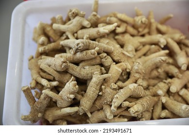 American ginseng is a traditional Chinese medicine. - Shutterstock ID 2193491671