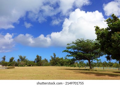 American Memorial Park In Saipan, Mariana Islands