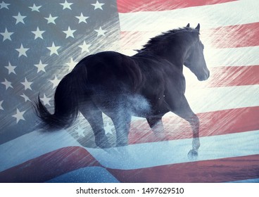 American Quarter Horse With USA Flag On The Background 
