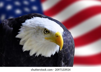 3 Americian Flag Background Images, Stock Photos & Vectors 