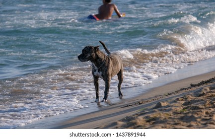 Waiting Wave Stock Photos Images Photography Shutterstock