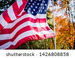 American USA flag stars and stripe red white and blue in wind with fall autumn colors