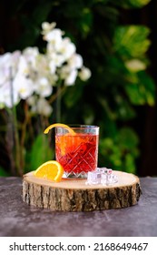 Americano Campari Cocktail With Decoration