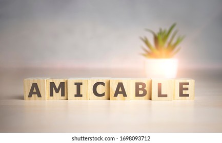 Amicable - word on wooden cubes, concept family - Shutterstock ID 1698093712